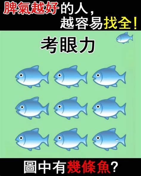 圖中有幾條魚|圖中有幾條魚？